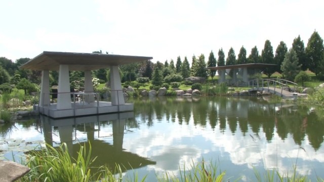 Išskirtinė galimybė pamatyti lietuvio rankomis sukurtą japonišką sodą