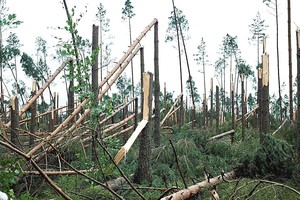 Audra Lenkijoje smogė ir vaikams – niekada nepamirš siaubo