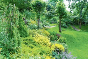 Nykią automobilių stovėjimo aikštelę vilnietė pavertė rojaus sodu