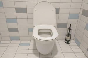 Indijoje leista išsiskirti moteriai, kurios sutuoktinis atsisakė namuose įrengti tualetą