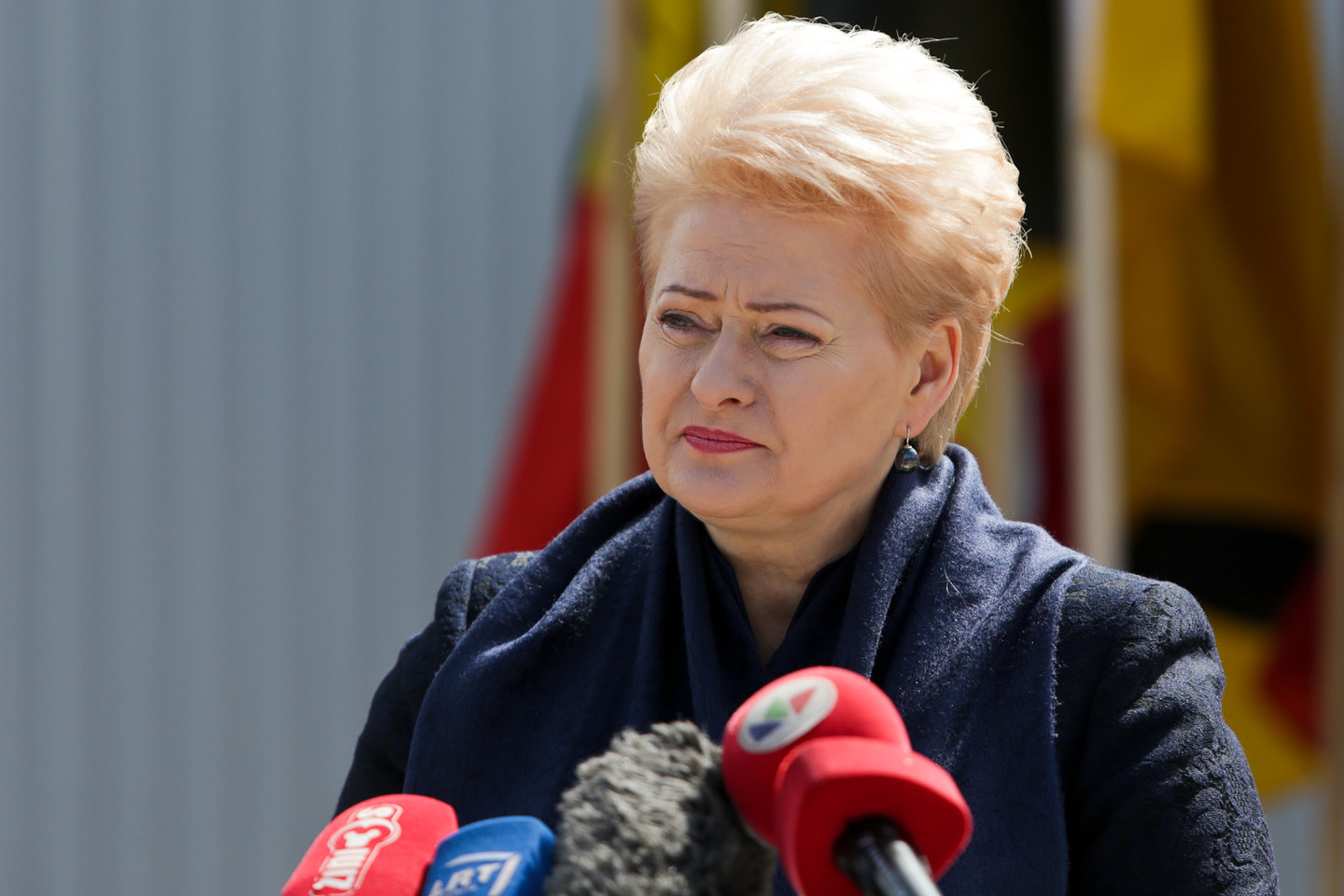 Prezidentės patarėja Saulė Mačiukaitė-Žvinienė teigė, kad pagal pataisas, kurias numatoma registruoti artimiausiu metu, planuojama profesinio mokymo kokybę kelti per didesnę atskaitomybę socialiniams partneriams, pirmiausia darbdaviams.