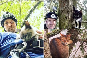 Miškininkai tapo profesionalais, kurie gelbėja kates iš medžių