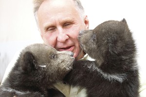 Pabėgusią mešką sutramdė buvęs jos šeimininkas