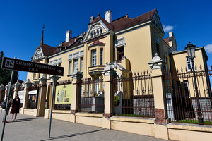 Odos pramonės karalius: kaip Šiaulių milijonierius pagarsėjo visame pasaulyje