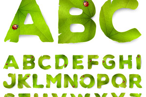 Sužibo viltis verslininkams, norintiems įmonės pavadinime vartoti nelietuviškas raides