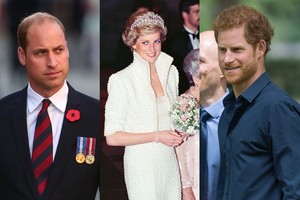 Skaudus atvirumas: princai Williamas ir Harry atskleidė, kaip reagavo į mamos netektį