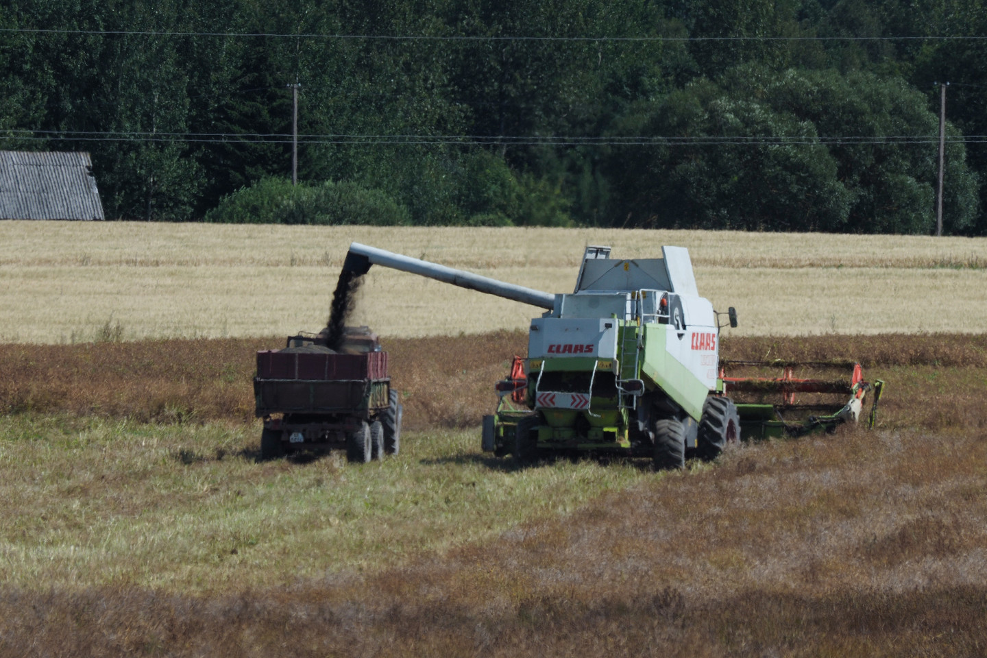 Vadybininkai, metalo apdirbimo, mašinų gamybos darbininkai, žemės ūkio darbininkai, finansinių paslaugų klientų aptarnavimo specialistai, statybos darbininkai, valytojai, didmeninės prekybos darbininkai – tai darbuotojai, kurių paklausa visoje Europos Sąjungoje mažėja.<br>V.Ščiavinsko nuotr.