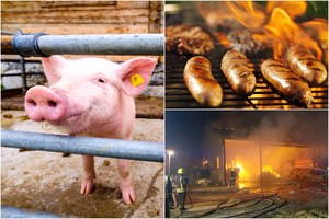 Paršelius iš gaisro išgelbėję ugniagesiai po to krimto iš jų pagamintas dešreles