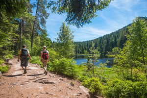 Didelis netikėtumas JAV miškuose