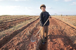 Alkio išsekinti Šiaurės Korėjos kariai neturi jėgų kariauti su JAV