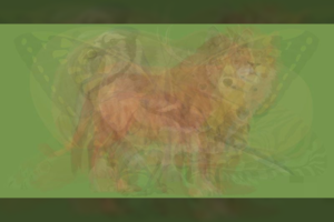 Kokį gyvūną pamatėte pirmą? Štai koks žmogus jus padarytų laimingą