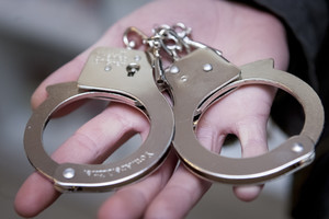 Rusijoje už gyvūnų kankinimą įkalintos dvi paauglės, filmavusios žiaurias egzekucijas