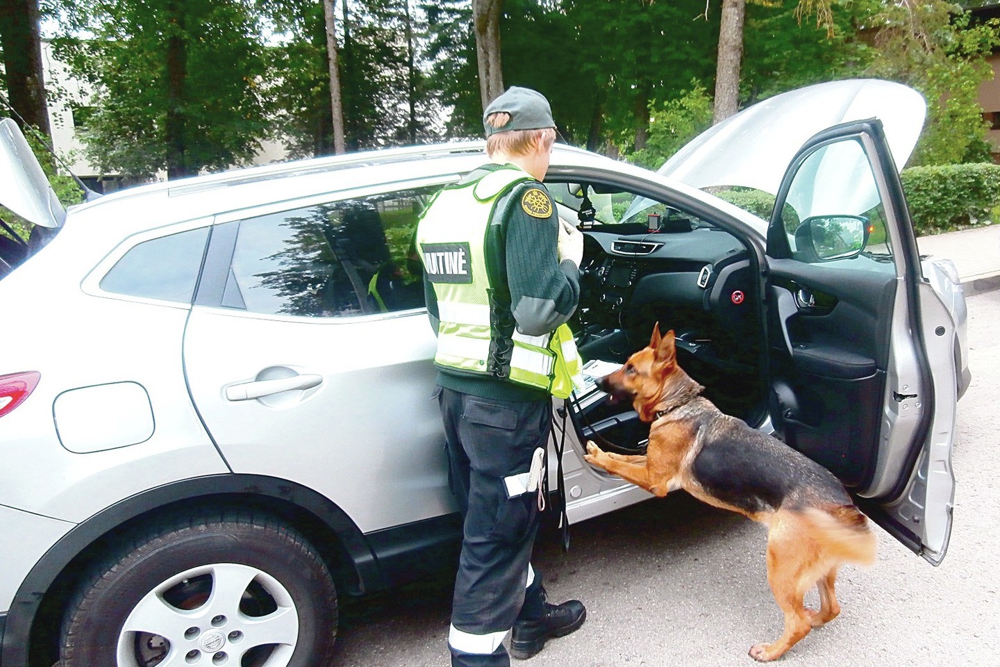75 kilogramus hašišo aptiko muitininkų kalytė Kvynė. Kontrabandininko kauniečio automobilis „Nissan Qashqai“ patikrinti buvo sustabdytas atsitiktinai.