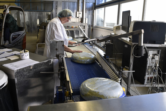 Investuotojų asociacija: „Fonterra“ investicija nuvertina „Rokiškio sūrį“ 