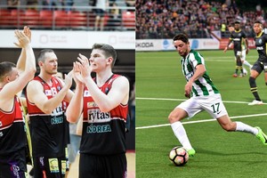 Valdžios verdiktas: Vilniaus „Žalgiris“ ir  į 20 dalių padalintas „Lietuvos rytas“ gaus milijoną