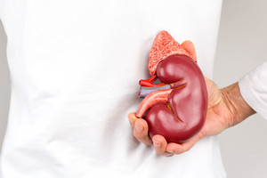 Skelbimas šokiravo: dėl sūnaus mokslų plungiškė parduoda inkstą