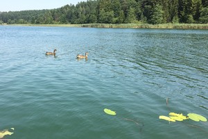 Po maudynių prie ežero pasijuto kaip vagis: „Žmonės čia vaikomi su riksmais“