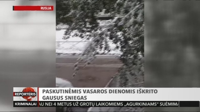 Vasara dar nesibaigė, o Rusijoje jau sninga