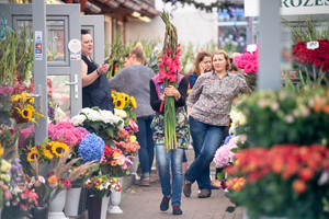 Rugsėjo 1-osios išvakarėse gėlių kainos vertė iš koto