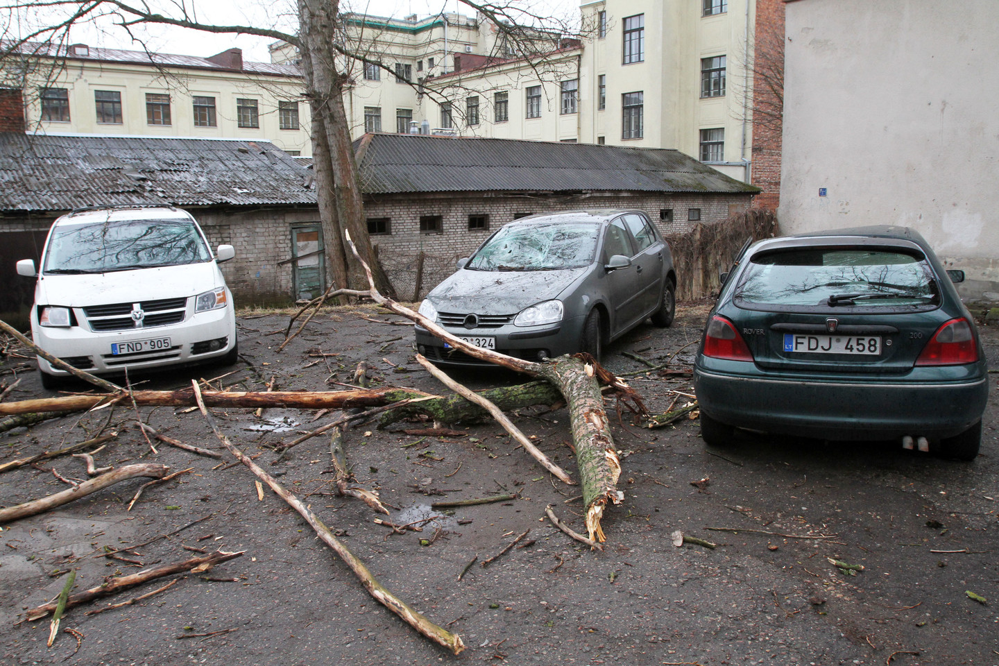 Pasipelnyti norinčių piktavalių mėginimai apgauti draudimo bendroves išlieka vienu didžiausių galvos skausmų jose dirbantiems specialistams.