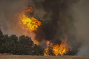 Nevadoje gesinamas krūmynų gaisras buvusiame branduolinių bandymų poligone