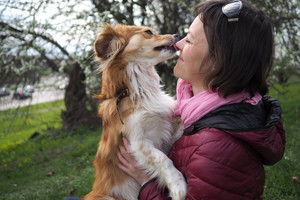 Į gyvūnų prieglaudą žengti neišdrįso: per skaudu atsukti jiems nugarą