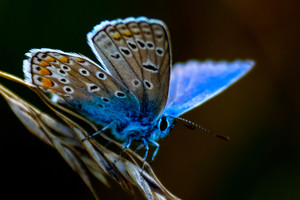 Gražu žiūrėti: nuostabi Lietuvos gamta - fotografo Vlado Ščiavinsko akimis