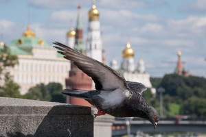 Maskva pareiškė protestą JAV dėl planuojamos kratos Rusijos atstovybėje Vašingtone