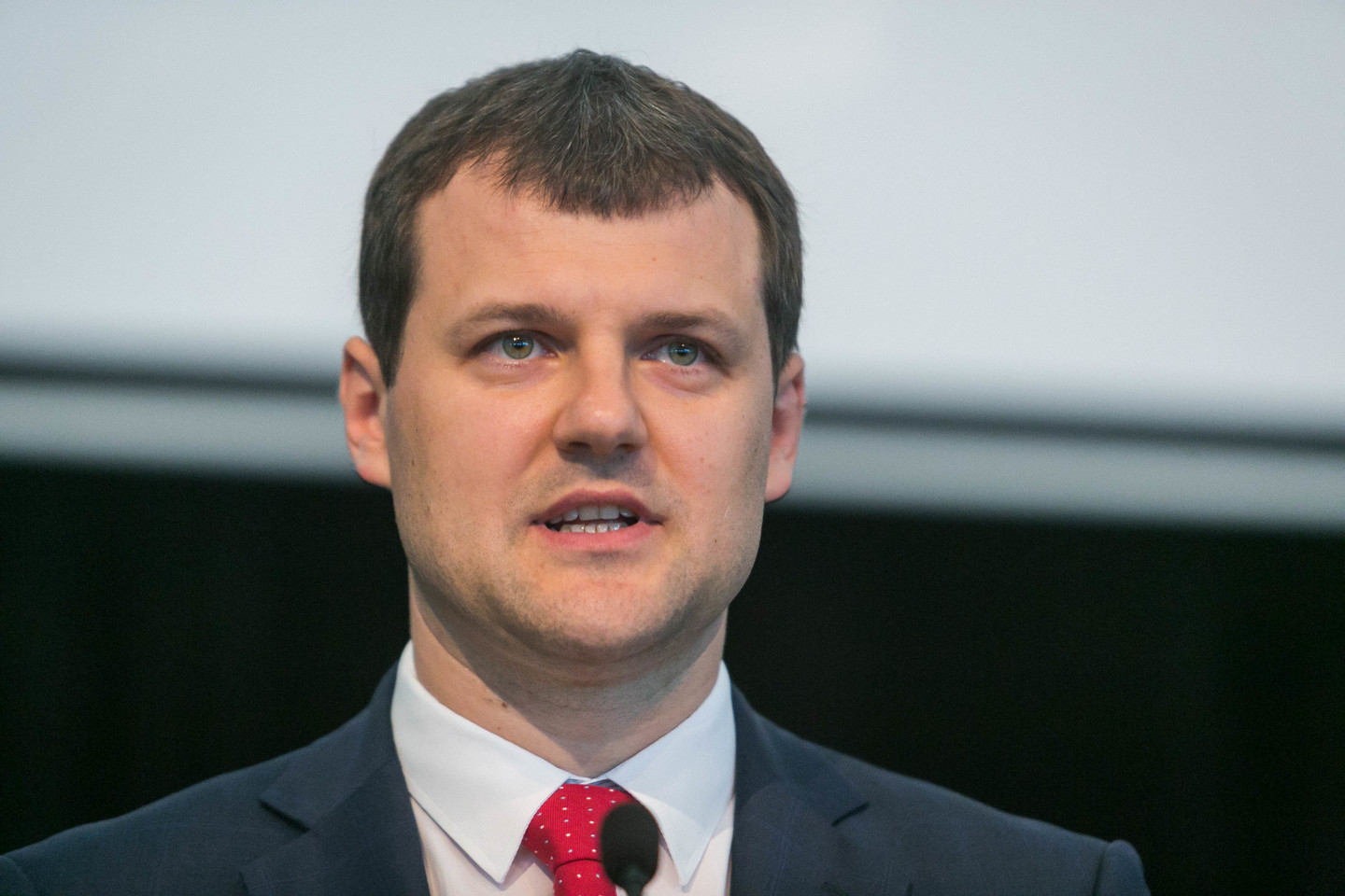 „Kaip bepasibaigtų visa ši santykių svarstymo epopėja, geriau tikrai nebus. Prezidentė yra teisi“, - sakė G.Paluckas.<br>T.Bauro nuotr.