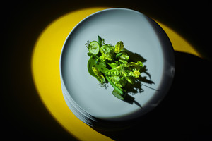 Scena gurmaniškam maistui 