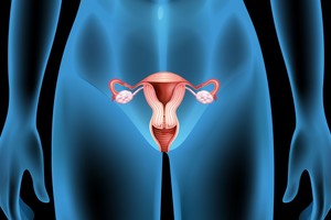 Gėda: pusė vyrų nežino, kur yra moters makštis