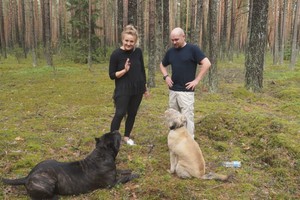 Aktoriaus Ramūno Cicėno namuose vietą rado du augintiniai iš prieglaudos  