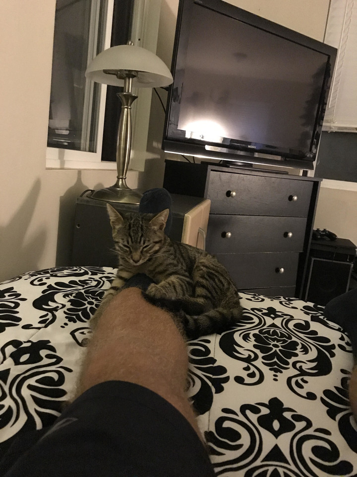 Dabar kačiukas ir naujasis jo šeimininkas mėgaujasi vienas kito draugija.<br> Imgur.com nuotr.