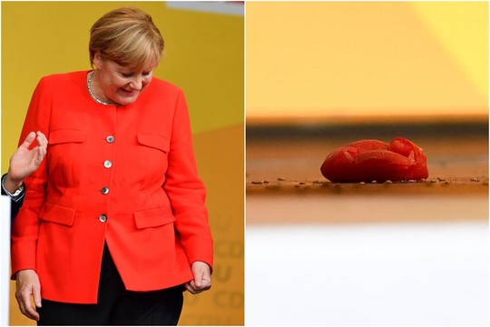 Vokietijoje per rinkimų kampanijos mitingą į Angelą Merkel sviesti keli pomidorai