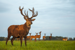 Prasidėjus rudeniui vėl išryškėjo neišsprendžiama problema