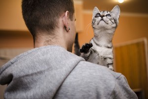 Vilties neprarandančios katytės prašymas. Jūs galite padėti