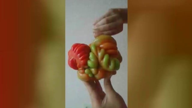 Sodininkė užaugino įspūdingos formos ir dydžio pomidorą-gigantą