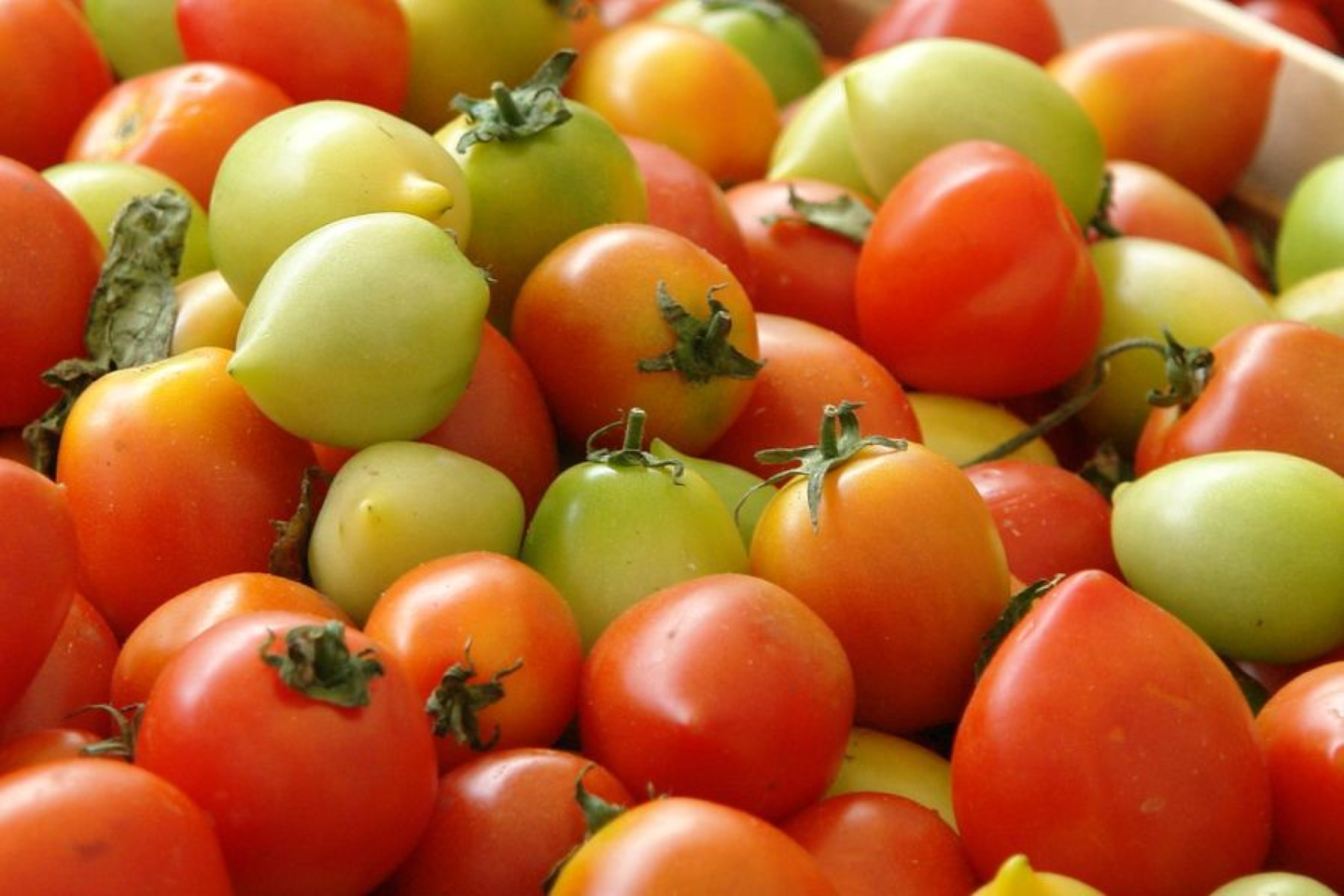 Kai pomidorai – patys aromatingiausi, metas iš jų gaminti padažą.<br> Nuotr. iš valgiai.lt