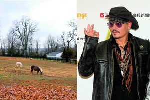 Bankrutuojančiam Johnny Deppui nesiseka parduoti milijonų verto žirgyno 