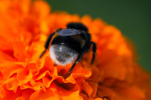 Sinoptikai turi dvi žinias: gerą ir nelabai