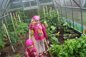 Darželiuose įrengti šiltnamiai tapo vaikų edukacijos ir žaidimų aikštele