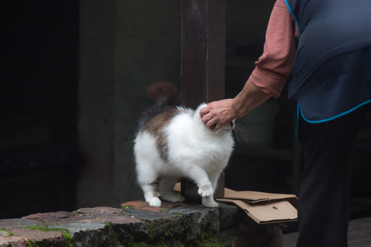 Orai: rytoj dieną bus ir pragiedrulių