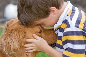 Auginate vaiką ir šunį? Štai ką privalote žinoti