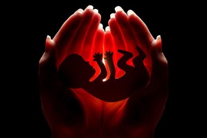 Seimas svarstys siūlymą leisti laidoti negimusius embrionus