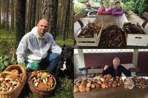 Kristupas Krivickas atskleidė vietą, kurioje rado 100 baravykų per 100 minučių