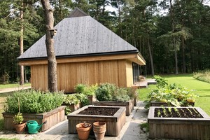 Žinomos kulinarijos  knygų autorės   darže Druskininkuose  –  neįtikėtinas derlius 