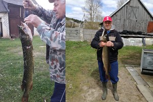 Čia tai bent laimikiai: traukiant net sulaužė spiningą