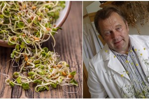 Fitoterapeuto smūgis sveikuoliams: „Tai valgant vėžys vystosi dvigubai greičiau“