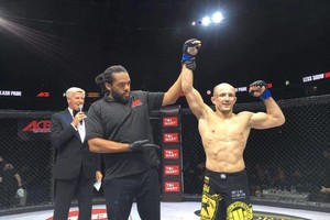Po pergalės narve – ambasadoriaus pareigos