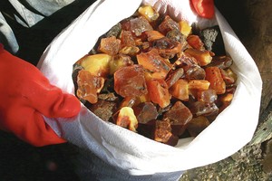 Nelegalus gintaro verslas Ukrainoje marina ir gamtą, ir valstybę